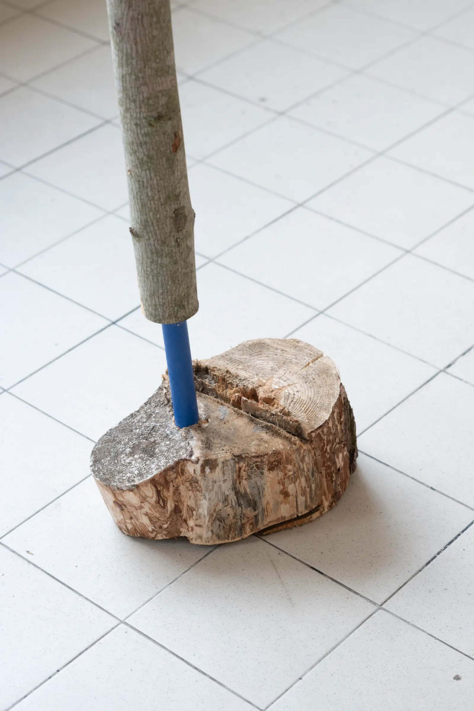 Zbliżenie na fragment instalacji, który wygląda jak zwierzęca noga z wielkim kopytem.