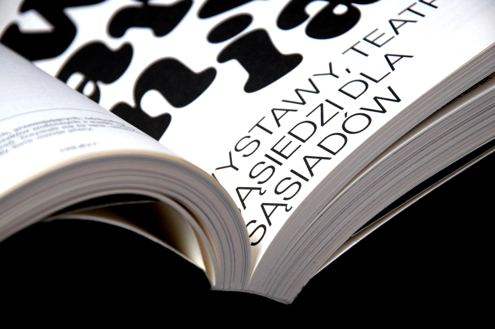 Zbliżenie otwartej książki: tytuł strony i fragment liter w dużym kroju